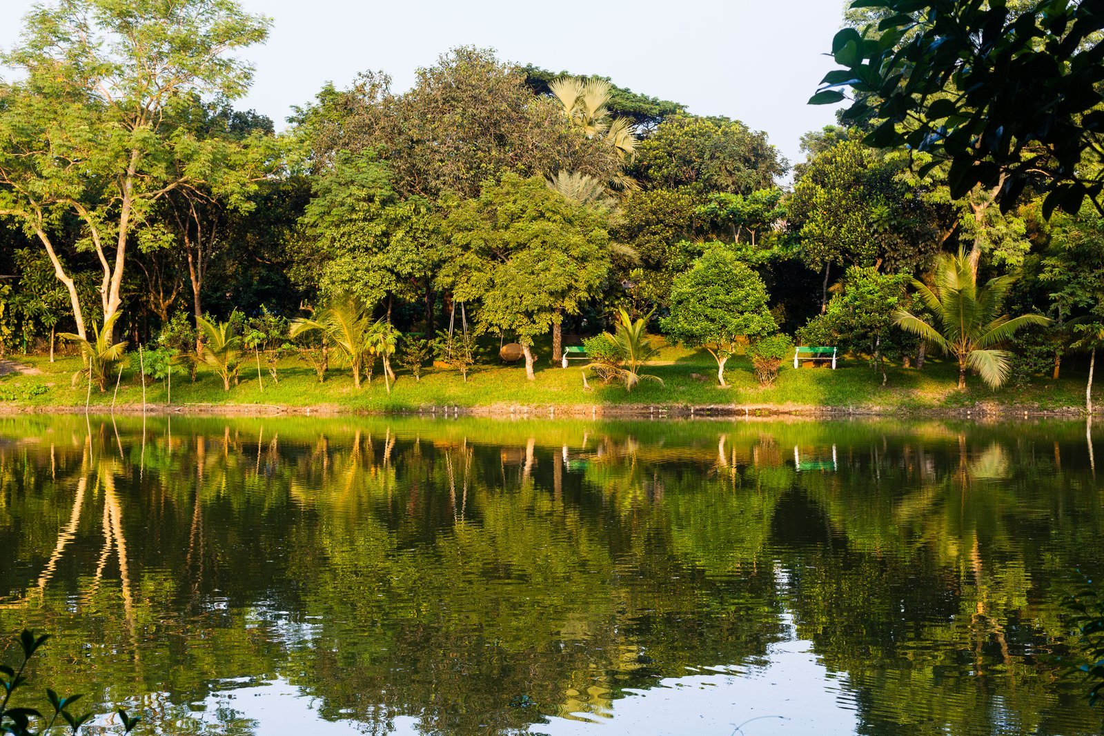 Lakeside grounds at Aranya Eco Resort