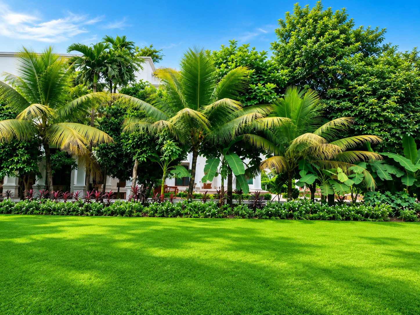 The smaller lawn surrounded by pine trees